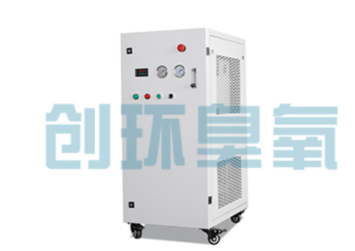 呼和浩特石斑鱼养殖水质调控完整指南:臭氧发生器配置与操作步骤